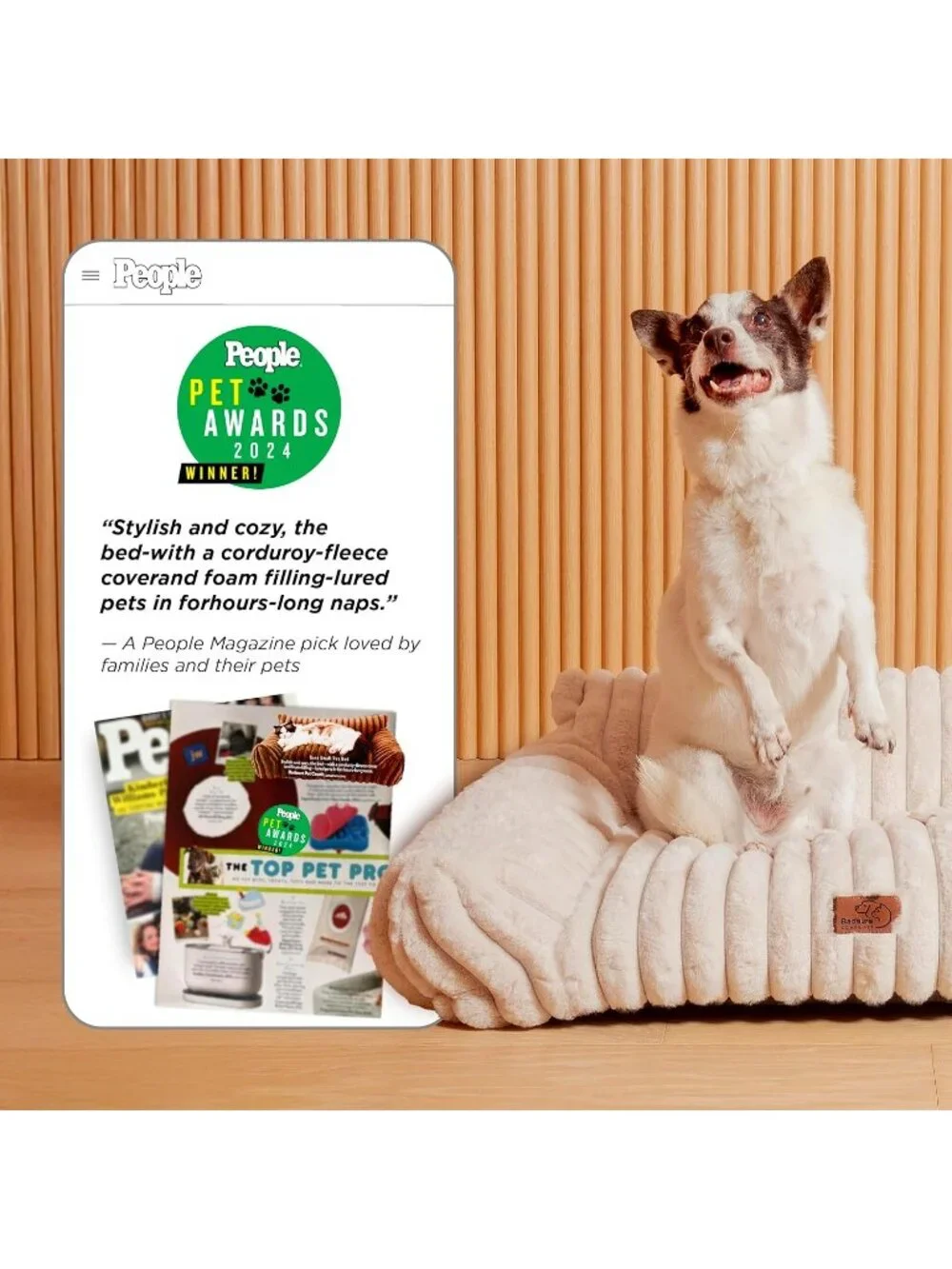 New Cute Cat Couch – 24